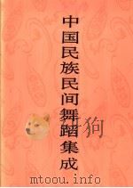 中国民族民间舞蹈集成 云南卷 上 1999 PDF电子版封面 7507601552 中国民族民间舞蹈集成编辑部编