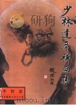 少林达摩禅画集 1994 PDF电子版封面 9624790035 李智书编
