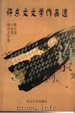 许东文文学作品选 1999 PDF电子版封面 7806118519 许东文著