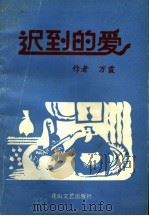 迟到的爱 1994 PDF电子版封面 7806112367 万霞著
