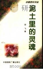 泥土里的灵魂 1994 PDF电子版封面 7507810968 段飞著