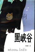 黑峡谷 1991 PDF电子版封面 宋聚丰著