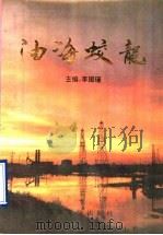 油海蛟龙 胜利石油管理局百名青年岗位能手风采录 1996 PDF电子版封面 7563608281 李国瑾主编