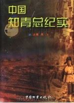中国知青总纪实   1998  PDF电子版封面  7504715441  吴洵主编 