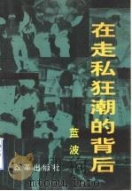 在走私狂潮的背后 1999 PDF电子版封面 7801432142 蓝波编著