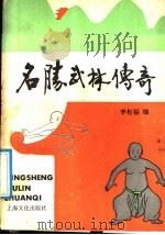 名胜武林传奇   1989  PDF电子版封面  7805110611  李松福编 