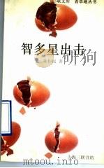 智多星出击 1995 PDF电子版封面 7542608894 陈伟民著