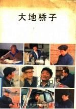 大地骄子 1989 PDF电子版封面 7206004113 高村山主编