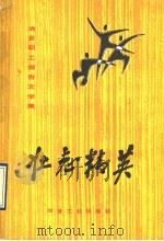 壮志精英 冶金职工报告文学集 1990 PDF电子版封面 750240595X 冶金工业出版社