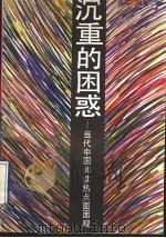 沉重的困惑 当代中国阅读热点面面观 1993 PDF电子版封面 7540411562 南斗,河流著