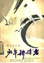 少年拚搏者（1985 PDF版）