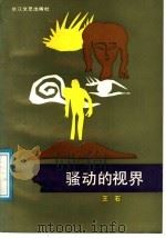 骚动的视界 1991 PDF电子版封面 7535404251 王石著