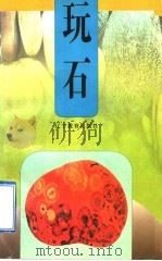 玩石 1998 PDF电子版封面 7538236279 励洁编著