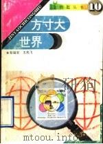 方寸大世界   1993  PDF电子版封面  7560714021  韩德凌，文晓，朱立泉，张继迎主编；赵锡安，王兆飞著 