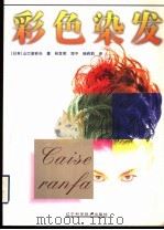 彩色染发 1999 PDF电子版封面 7538129057 (日)山口波砂夫著;林发明等译