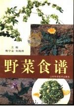野菜食谱 1997 PDF电子版封面 7533119525 樊守金,朱海涛主编