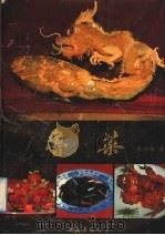 鲁菜 1991 PDF电子版封面 7800812200 李培雨著