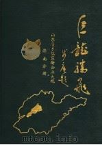 山东省乡镇区街企业大观  济南分册（ PDF版）
