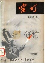 窑灯 1984 PDF电子版封面 R1086·658 赵润兴著