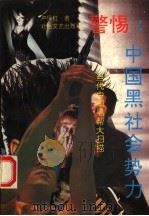 警惕中国黑社会势力 当代中国黑帮大扫描 1993 PDF电子版封面 7537811342 卢保红著