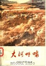 大河呼啸 河南民兵革命斗争故事集 1980 PDF电子版封面 10105·286 中国人民解放军河南省军区政治部编