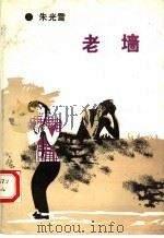 老墙 1990 PDF电子版封面 7538701869 朱光雪著