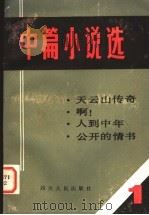 中篇小说选  1   1980  PDF电子版封面  10118·404  鲁彦周等著 