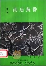 雨后黄昏 1998 PDF电子版封面 7544108848 徜徉著