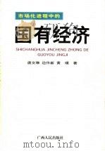 市场化进程中的国有经济 1999 PDF电子版封面 7219040385 唐文琳等著