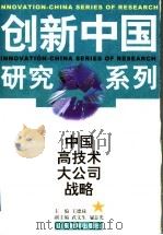中国高技术大公司战略 1999 PDF电子版封面 7532830292 王德禄主编;长城企业战略研究所组织撰写