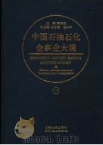 中国石油石化企事业大观 1 1996 PDF电子版封面 7563607447 李凤岐主编