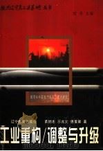 工业重构/调整与升级 1998 PDF电子版封面 7538252460 黄继忠等著