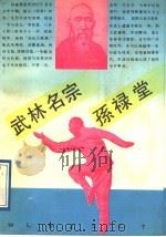 武林名宗孙禄堂 1991 PDF电子版封面 7215013723 李慎泽著
