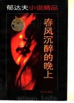 郁达夫小说精品 春风沉醉的晚上 1997 PDF电子版封面 7800394204 郁达夫著