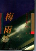 百年百部争议小说  梅雨（1996 PDF版）