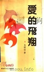 爱的飞翔 1991 PDF电子版封面 7503302739 朱建信著
