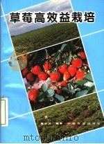 草莓高效益栽培（1994 PDF版）