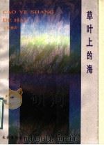 草叶上的海 1991 PDF电子版封面 7503908319 王桂林著