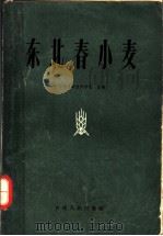 东北春小麦 1963 PDF电子版封面 16091·218 吉林省农业科学院主编