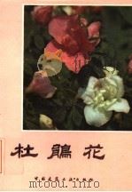 杜鹃花 1985 PDF电子版封面 15040·4815 沈渊如,沈荫椿编著