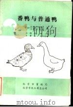 番鸭与普通鸭 1983 PDF电子版封面 (法)H戴·卡尔维尔 A戴·克鲁特著;吴朗秋编译