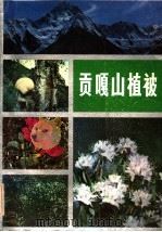 贡嘎山植被 1985 PDF电子版封面 13298·115 刘照光等编