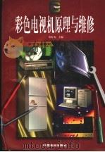 彩色电视机原理与维修 1997 PDF电子版封面 7504435279 胡有为主编