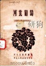 河北葡萄（1957 PDF版）