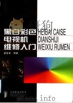 黑白彩色电视机维修入门   1998  PDF电子版封面  711507352X  梁友奖编著 