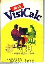 精通VisiCale（ PDF版）