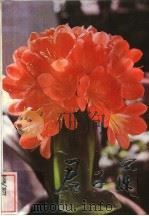 君子兰（1982 PDF版）
