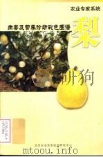 梨  病害及营养诊断彩色图谱（ PDF版）