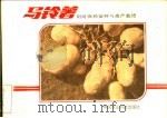 马铃薯阳畦保种与高产栽培（1986 PDF版）