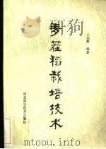 麦茬稻栽培技术（1985 PDF版）